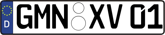 GMN-XV01
