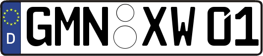 GMN-XW01