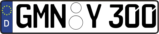 GMN-Y300
