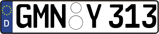 GMN-Y313