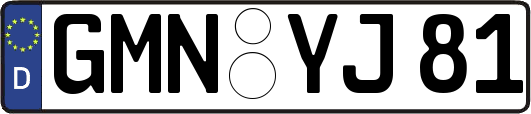 GMN-YJ81