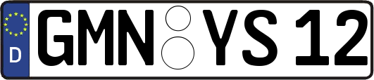 GMN-YS12