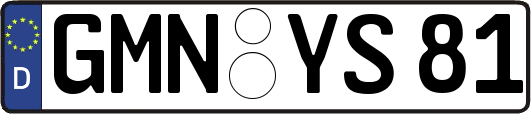 GMN-YS81