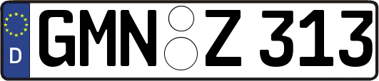 GMN-Z313