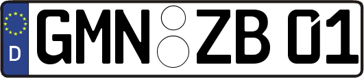GMN-ZB01