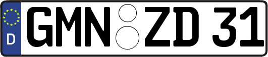 GMN-ZD31