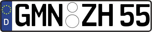 GMN-ZH55