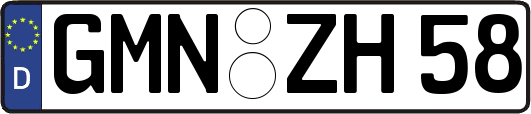 GMN-ZH58