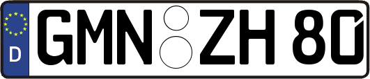 GMN-ZH80
