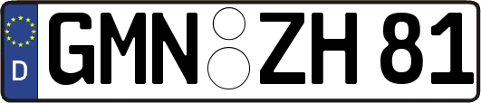 GMN-ZH81