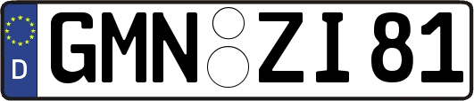 GMN-ZI81