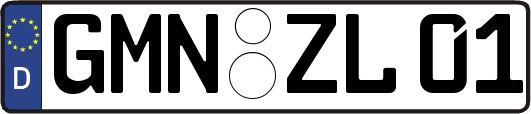 GMN-ZL01
