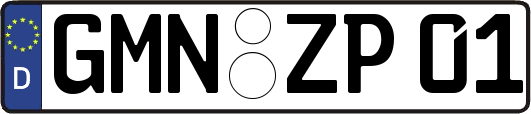 GMN-ZP01