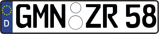 GMN-ZR58