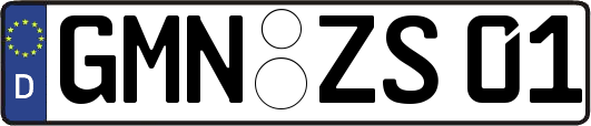 GMN-ZS01