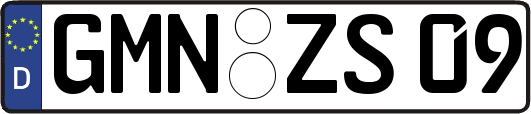 GMN-ZS09