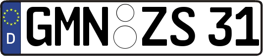 GMN-ZS31