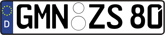 GMN-ZS80