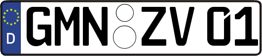 GMN-ZV01