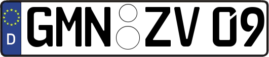 GMN-ZV09