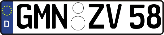 GMN-ZV58