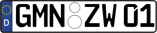 GMN-ZW01