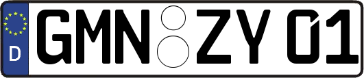 GMN-ZY01
