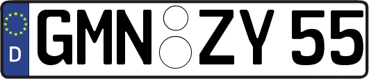 GMN-ZY55