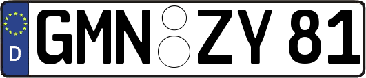 GMN-ZY81