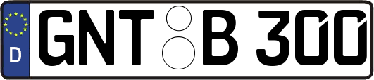 GNT-B300