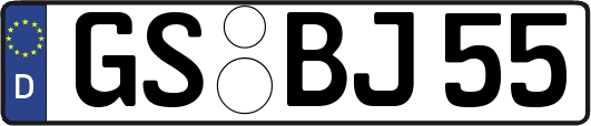 GS-BJ55