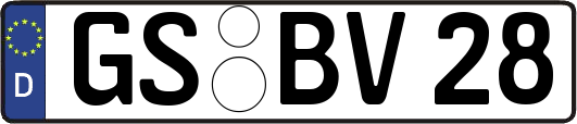 GS-BV28