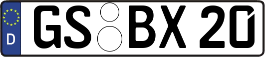 GS-BX20
