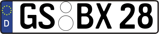 GS-BX28