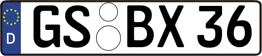GS-BX36