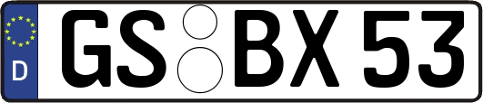 GS-BX53
