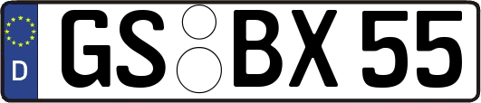 GS-BX55