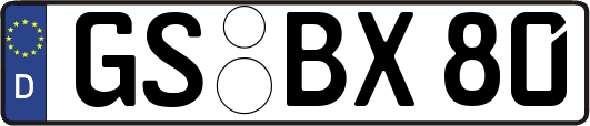 GS-BX80