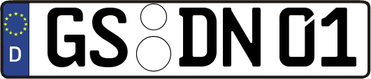 GS-DN01