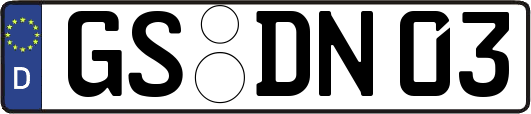GS-DN03