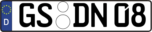 GS-DN08
