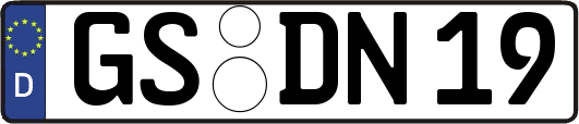 GS-DN19