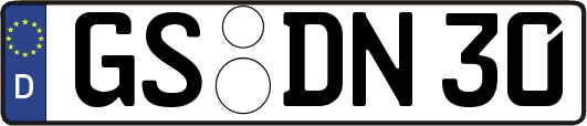 GS-DN30