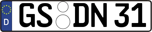 GS-DN31