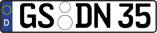 GS-DN35