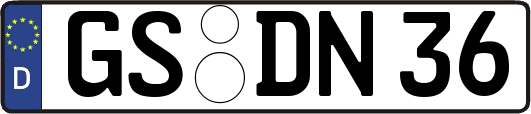 GS-DN36