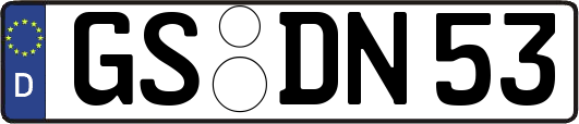 GS-DN53