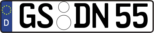 GS-DN55