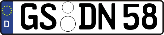GS-DN58