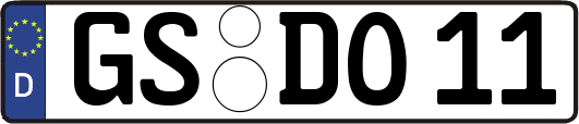 GS-DO11